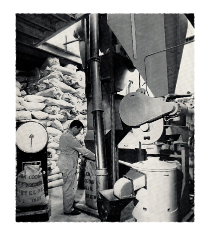 windmolen van de fam. coolen in wintelre4